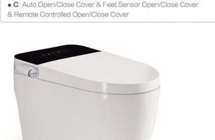 2014C Smart toilet product photo
