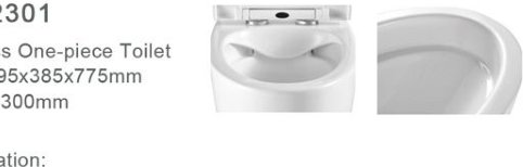 2201B Smart toilet product photo