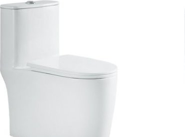 2216C Smart toilet product photo