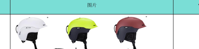 HO-111 Adult ski ABS+EPS+PC product photo