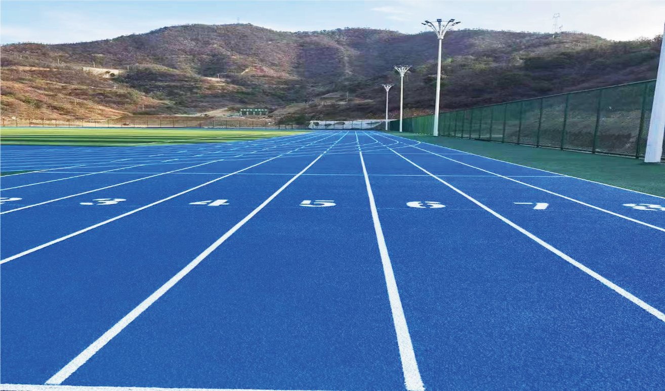 LP-FULLPU Full PU type: pure PU self-knot texture; professional compet catalogue view 2