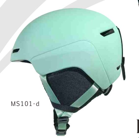 MS101 catalog reference