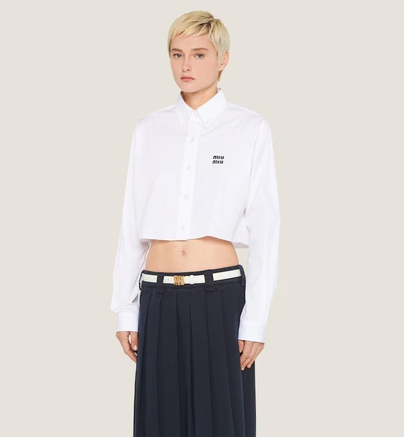 B1-34 Belt catalog reference